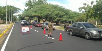 Instituto Municipal del Ambiente insta a Corpoelec a mesa de trabajo para coordinar planes de poda en Maracaibo