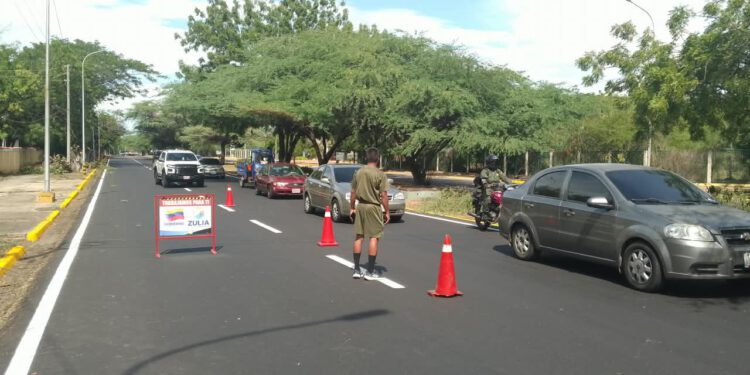 Instituto Municipal del Ambiente insta a Corpoelec a mesa de trabajo para coordinar planes de poda en Maracaibo